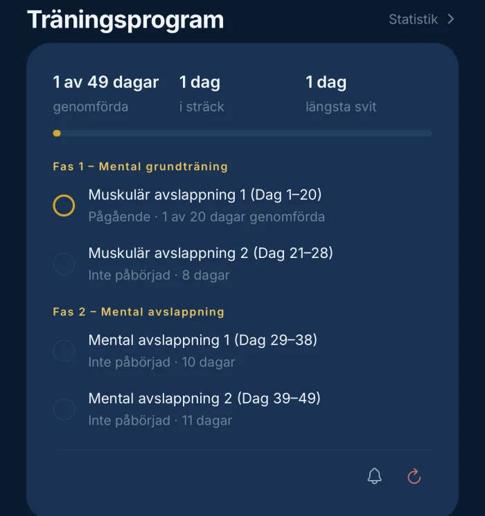 Träningsprogram med faser och dagar